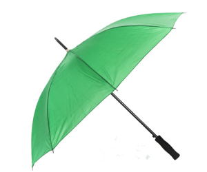 PM 02 RAIN